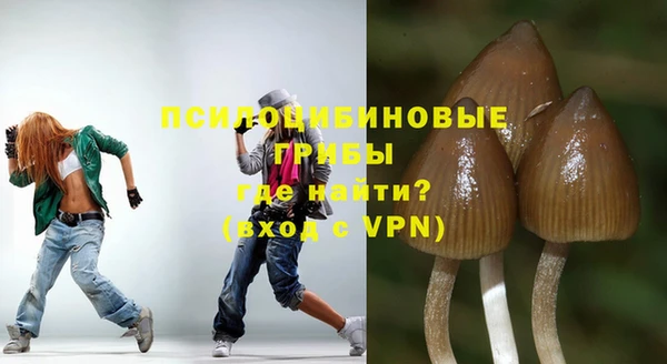 каннабис Инта