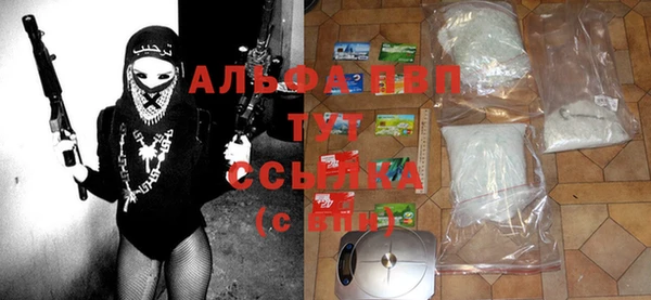 эйфоретик Инсар