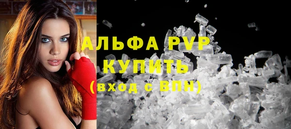 эйфоретик Инсар