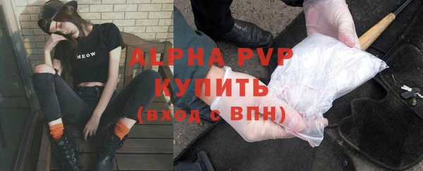 эйфоретик Инсар
